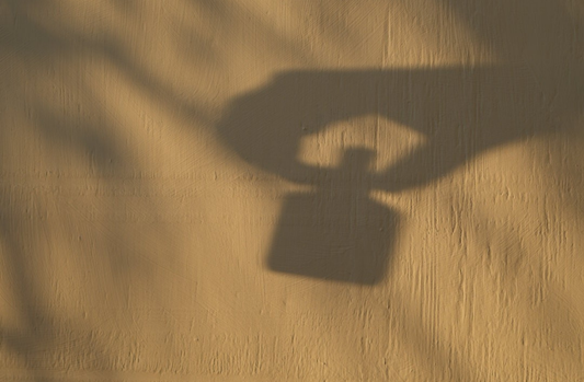 The Hidden Truth About “Clean” Supplements — and Why Wild Wholistic Is Setting a New Standard