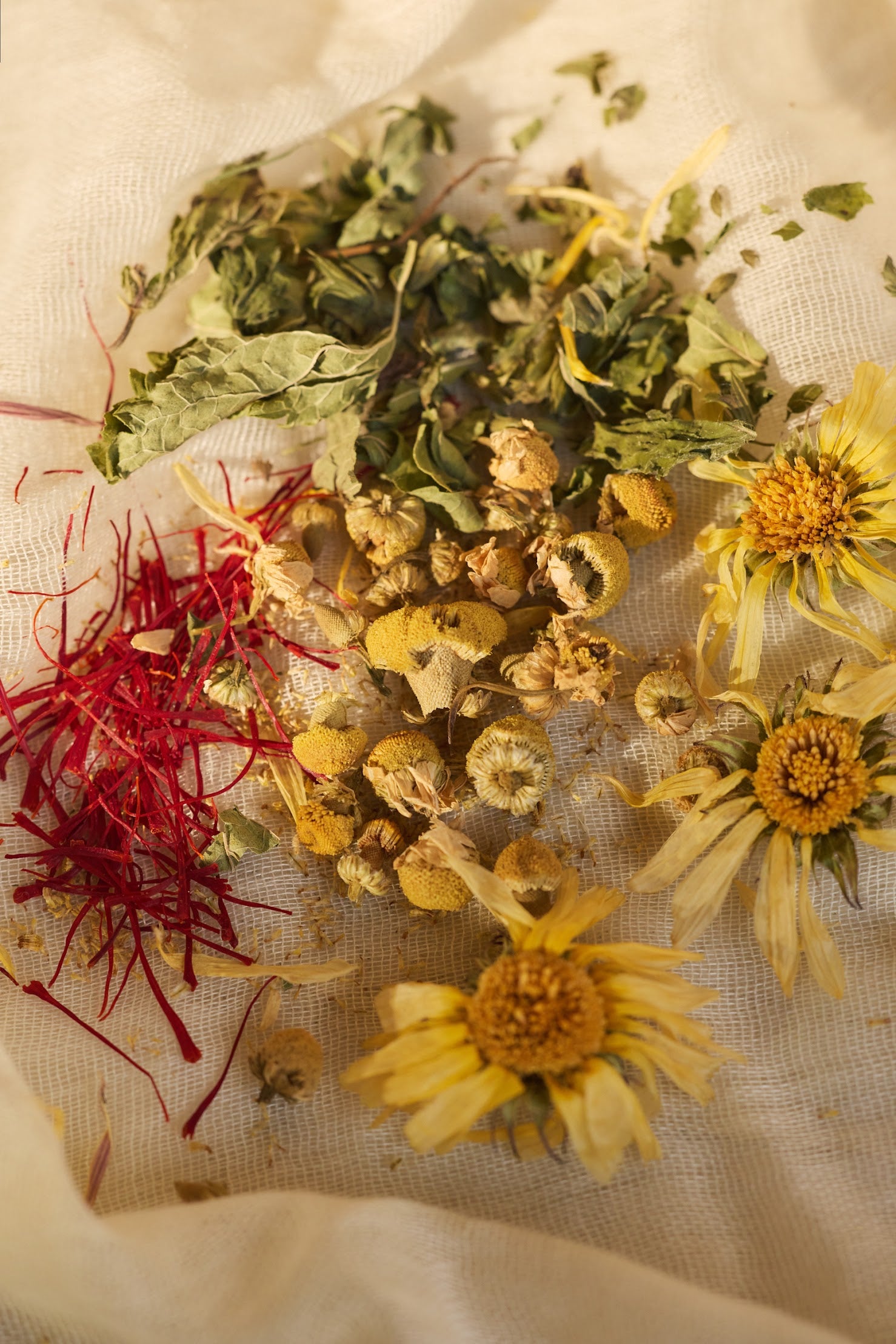 Herbal ingredients including dried flowers and leaves on a textured fabric background