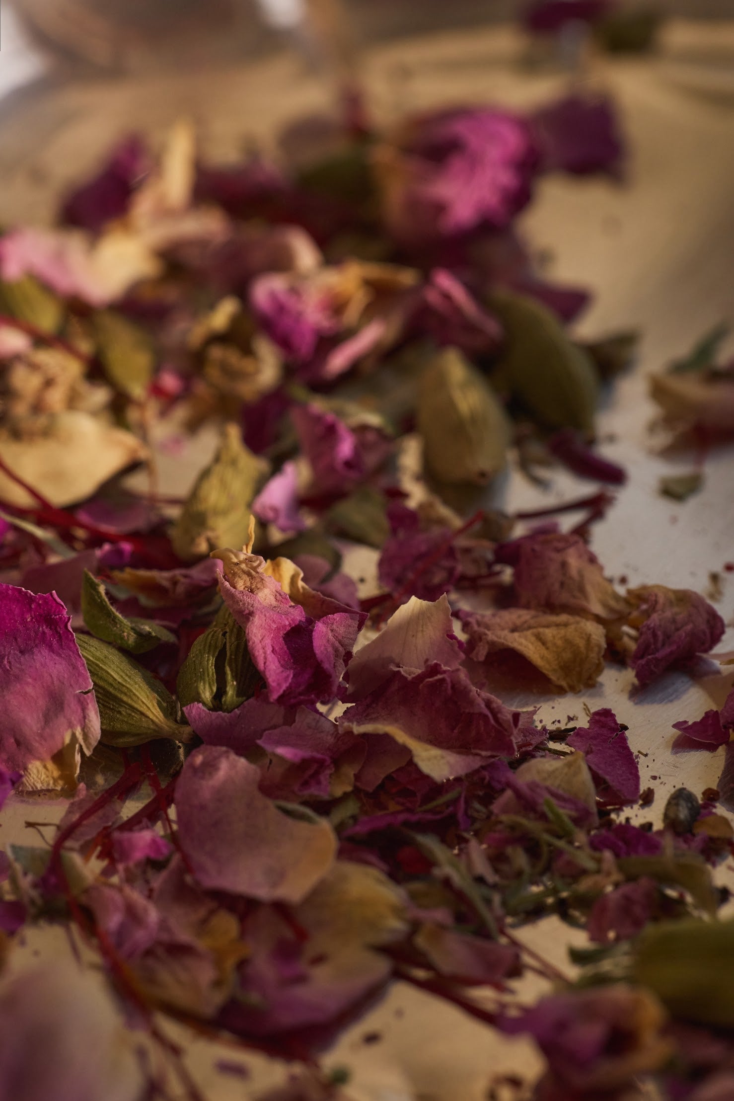Dried damask rose and green leaves on a textured surface.