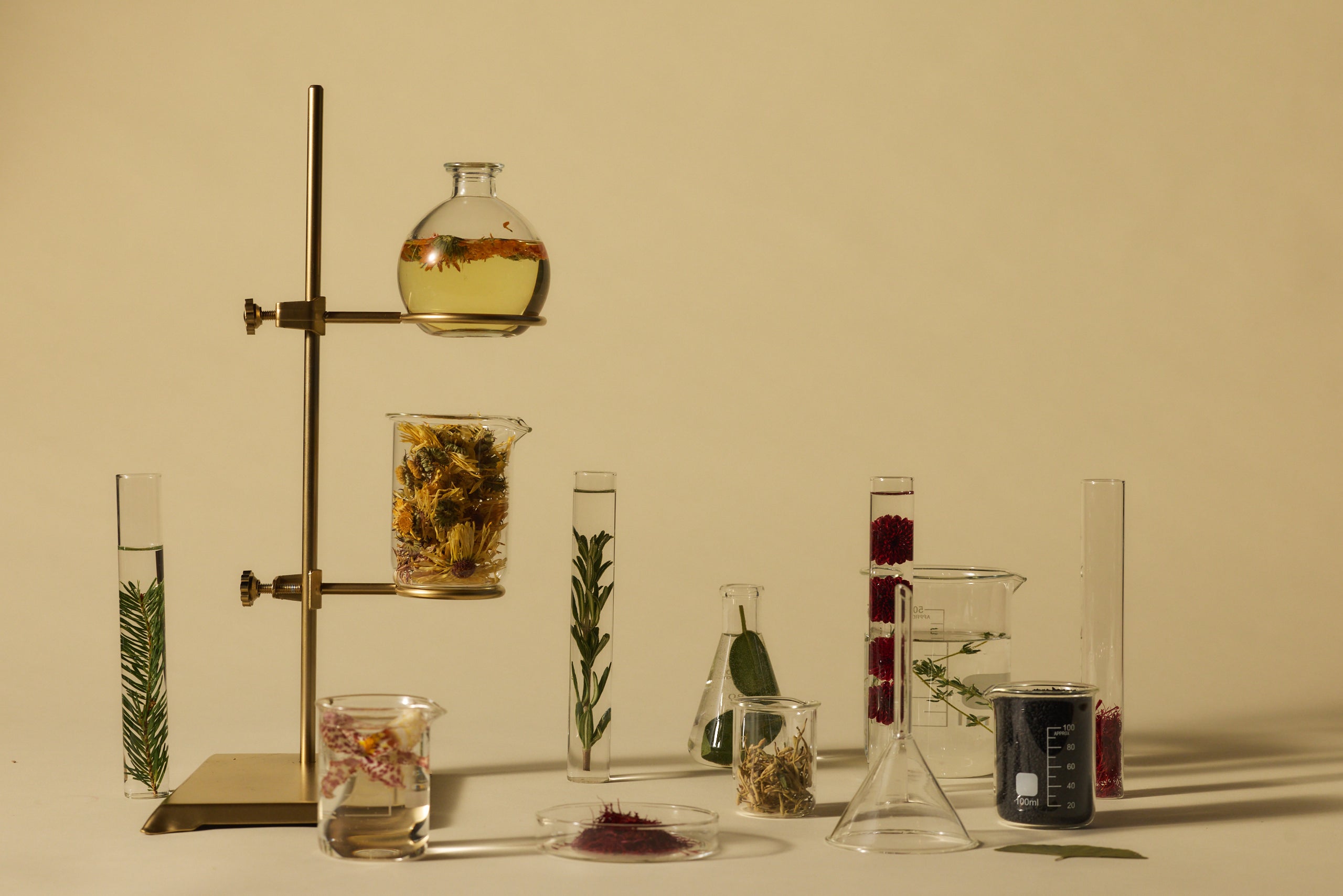 Collection of glassware with various liquids and plants on a beige background