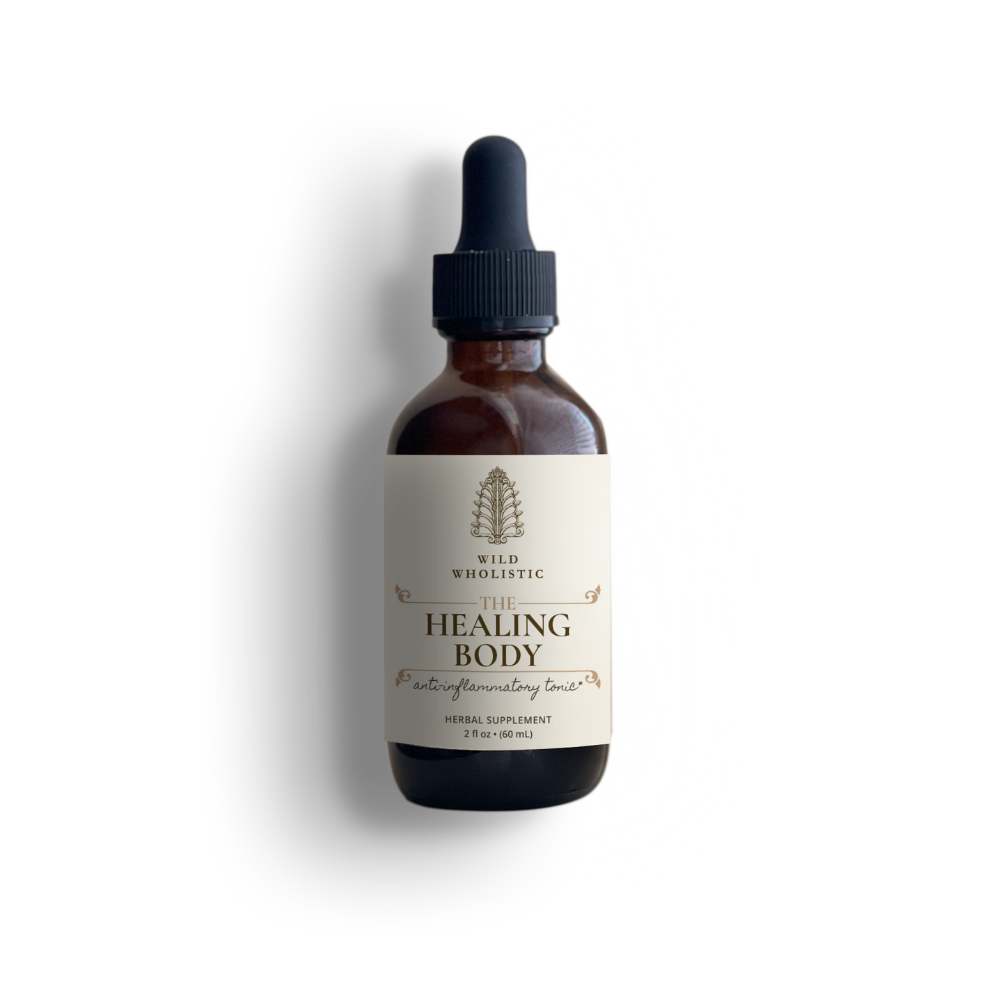 THE HEALING BODY